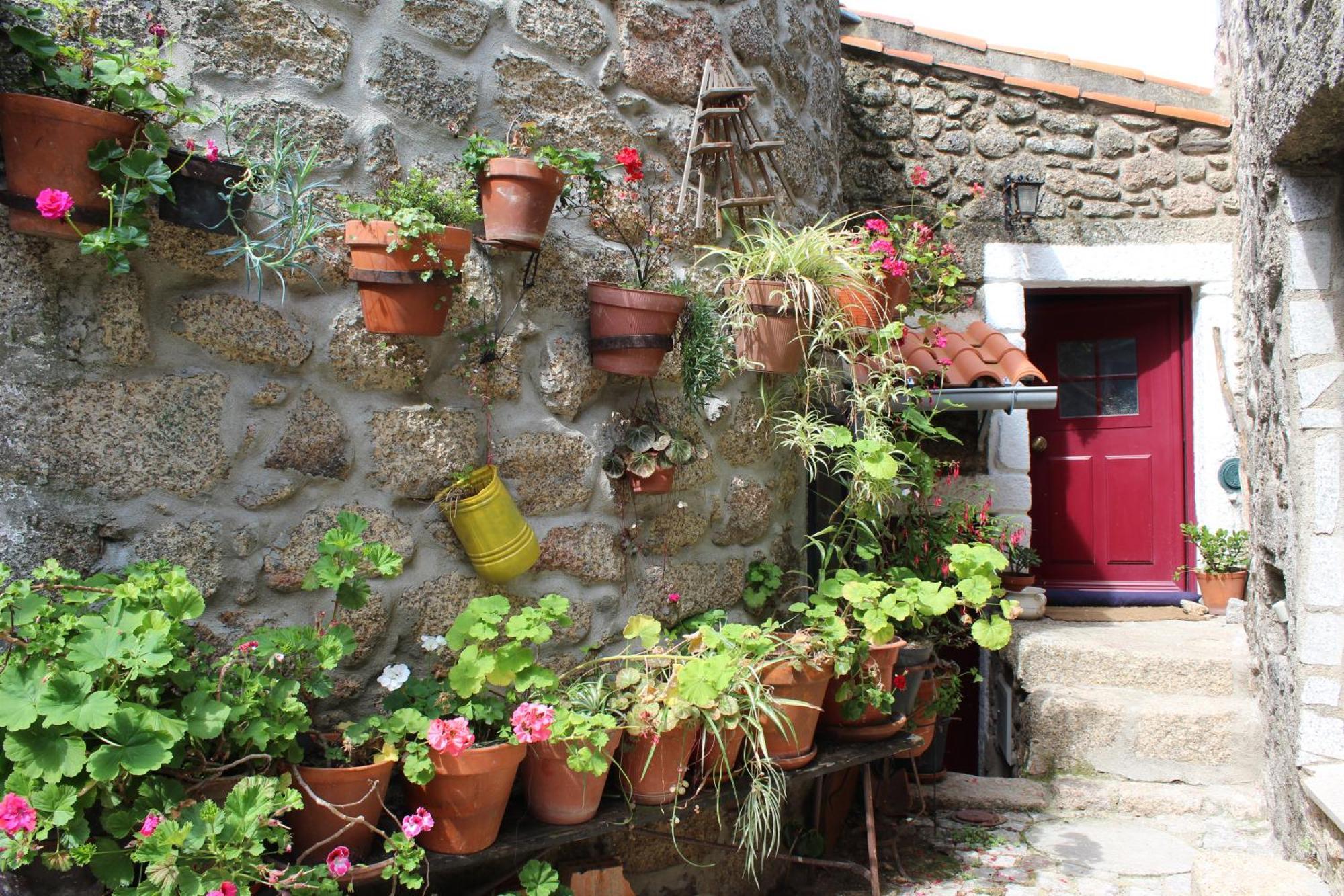 Lugar Sao Salvador De Monsanto Exterior foto
